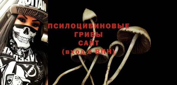 эйфоретик Балахна