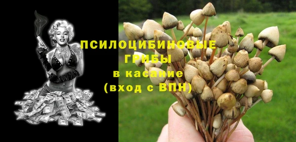 дурь Армянск