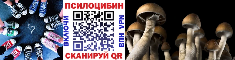 Псилоцибиновые грибы MAGIC MUSHROOMS  Слободской 